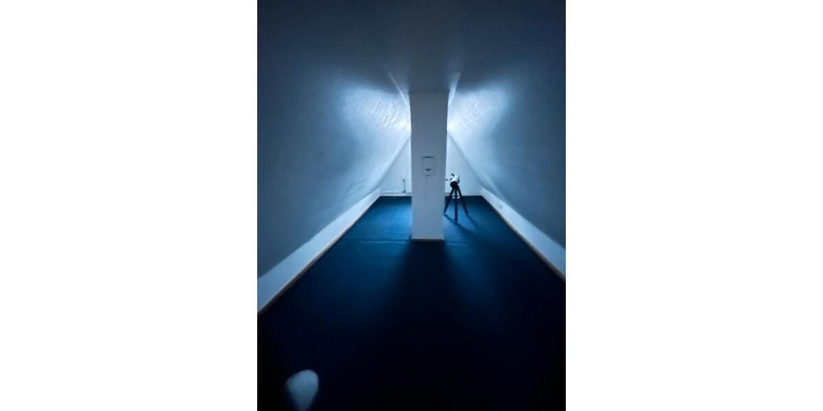 Komplett saniertes und renoviertes Doppelhaus zur Miete 4 zimmer