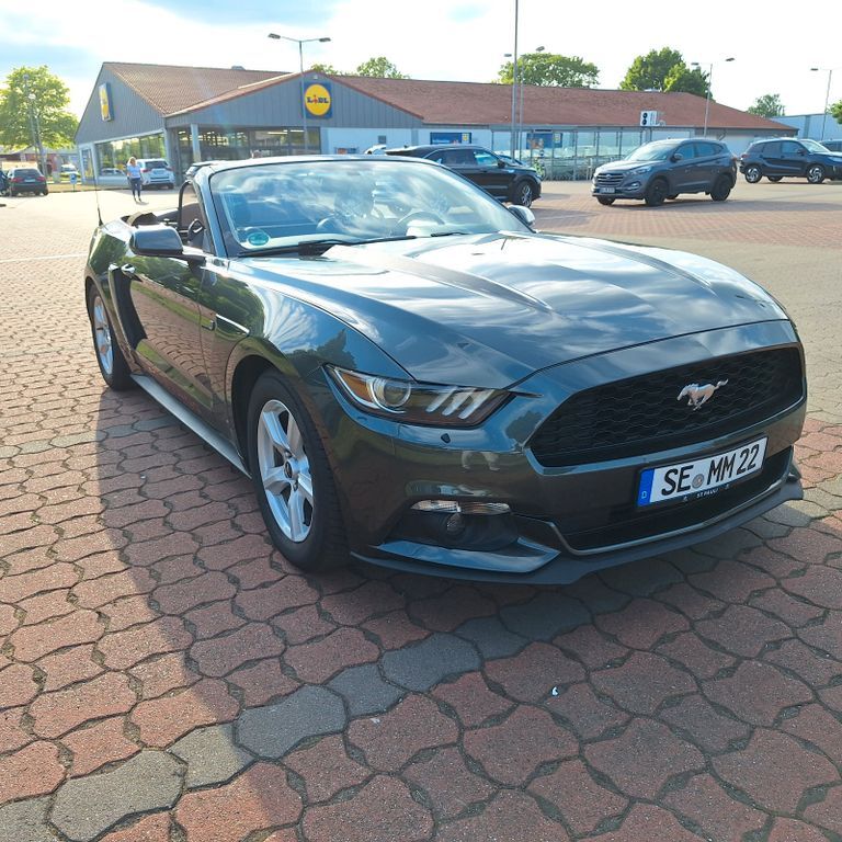 Mustang