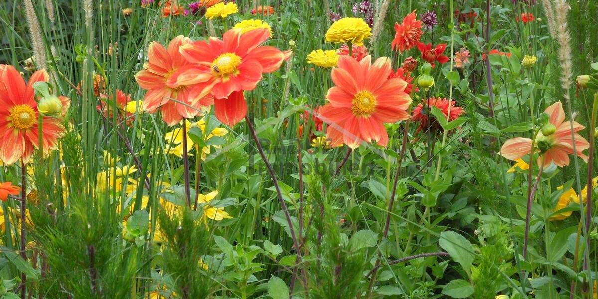 Grundstück Hamburg / Niendorf Niendorf - 589.000&euro; | Angebot:25702652