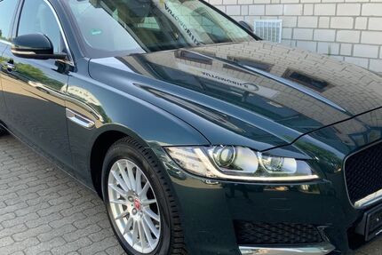 Jaguar XF 162.159 km 8.500 &euro; Rellingen 25462