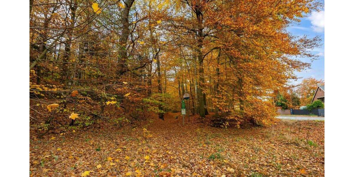 Charmantes Einfamilienhaus mit zwei Wohneinheiten und großem Entwicklungspotenzial! 5 zimmer
