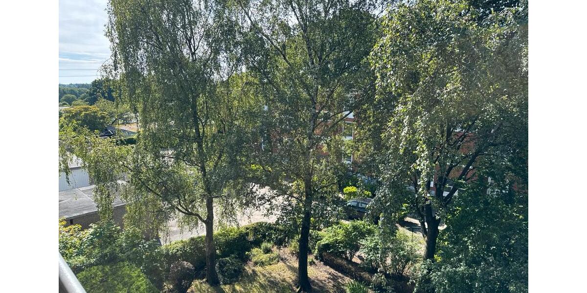 Mehrfamilienhaus, Wohnhaus Hamburg Lohbrügge - 1.100.000&euro; | Angebot:26891811