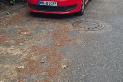 VW Polo 81.000 km 4.950 &euro; Hamburg 21077