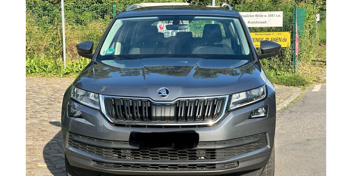 Skoda Kodiaq 171.000 km 17.150 &euro; Hamburg 22113