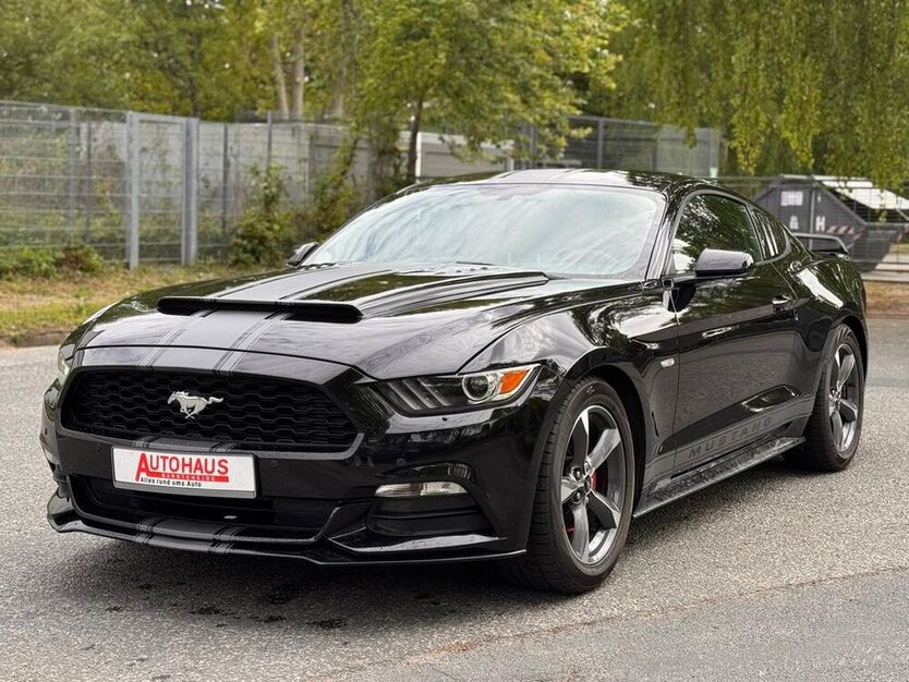 Mustang