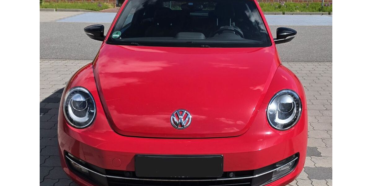 VW Beetle 168.300 km 5.500 &euro; Asendorf 21271