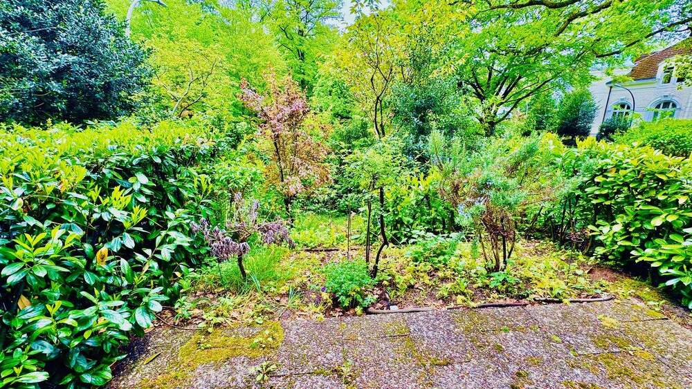 Terrassenwohnung Hamburg Blankenese - 2 Zimmer, 58 m&sup2;, 1.190&euro; | Angebot:26672599