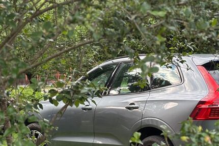 Volvo XC60 45.000 km 32.000 &euro; Hamburg 20146