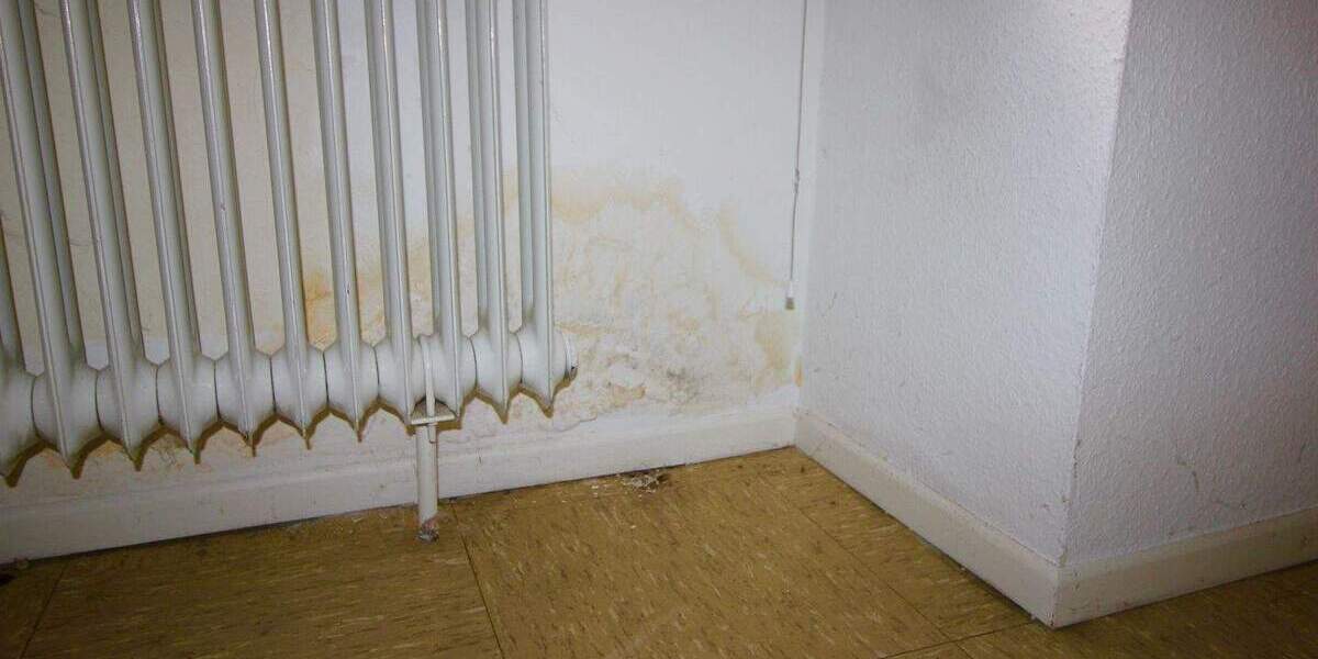 Etagenwohnung Hamburg Tonndorf - 2 Zimmer, 56 m&sup2;, 199.000&euro; | Angebot:26217830