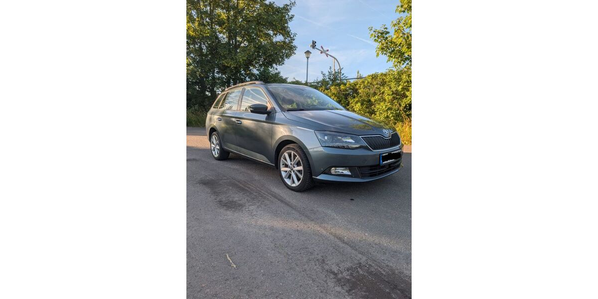 Skoda Fabia 96.200 km 9.965 &euro; Halstenbek 25469
