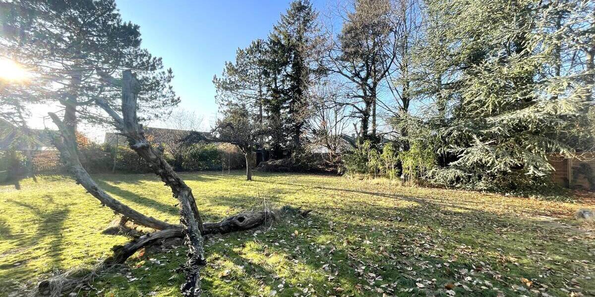 Doppelhaushälfte Hamburg Jenfeld - 5 Zimmer, 161 m&sup2;, 479.000&euro; | Angebot:26309898