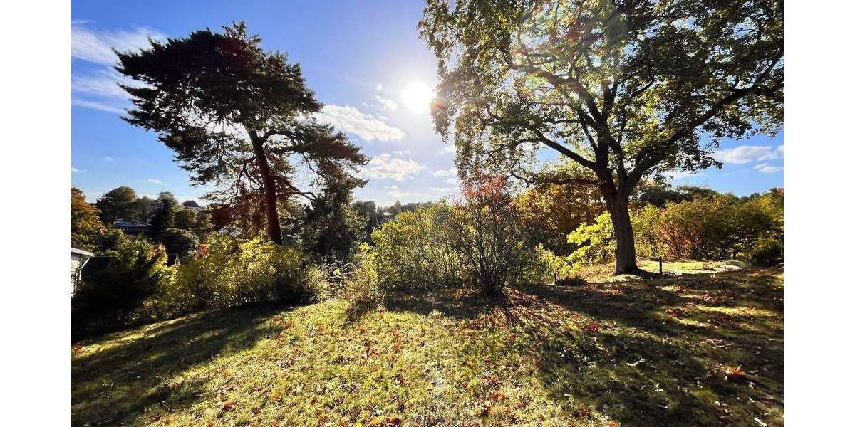 Majestätischer Ausblick! Baugrundstücke für Ein-Zweifamilienhäuser zimmer