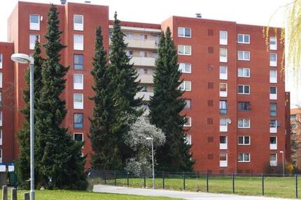 Perfekt für Familien: familienfreundliche 3-Zimmer-Wohnung zimmer