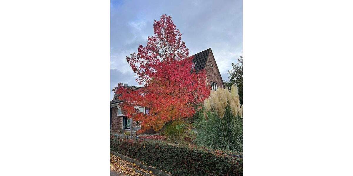 Wunderschönes Rotklinkerhaus im Herzen von Hamburg-Nienstedten 9 zimmer