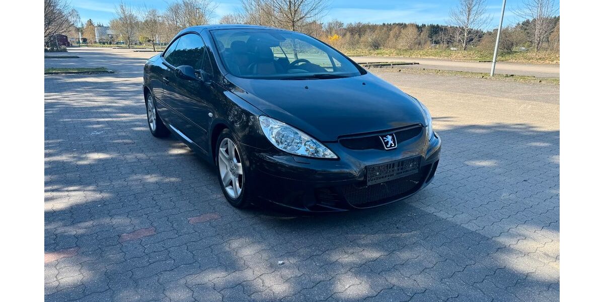 Peugeot 307 134.532 km 3.990 &euro; Buchholz 21244