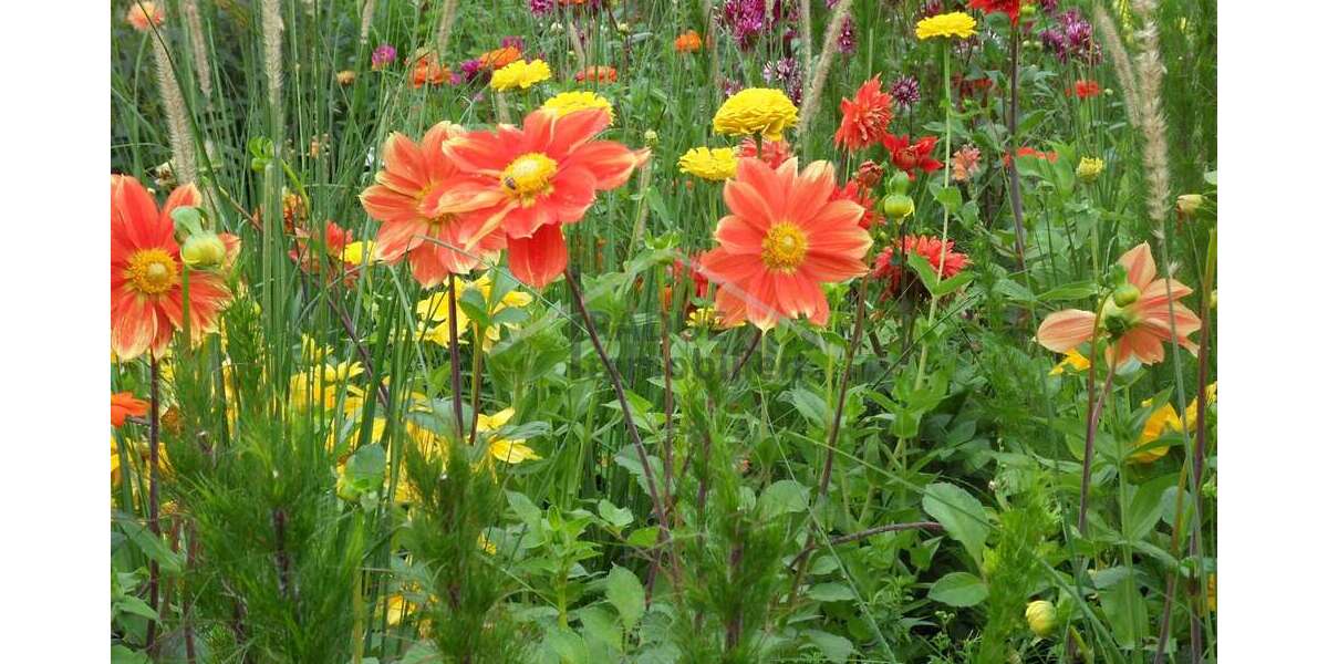 Grundstück zu verkaufen in Hamburg Niendorf 640.000 € 973 m² zimmer