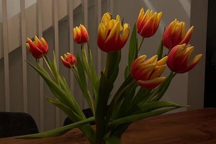 Haus Buchholz in der Nordheide - 4 Zimmer, 120 m&sup2;, 2.000&euro; | Angebot:26235026