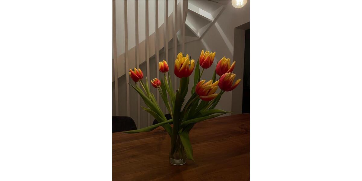 Reihenhaus Buchholz in der Nordheide - 4 Zimmer, 120 m&sup2;, 2.000&euro; | Angebot:26235026