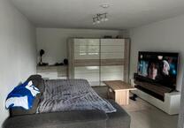 1 Zimmer Wohnung zum 01.07 Nachmieter