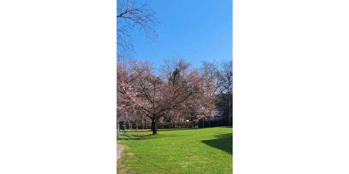 Etagenwohnung Bramfeld Bramfeld - 3 Zimmer, 71 m&sup2;, 288.000&euro; | Angebot:25926479