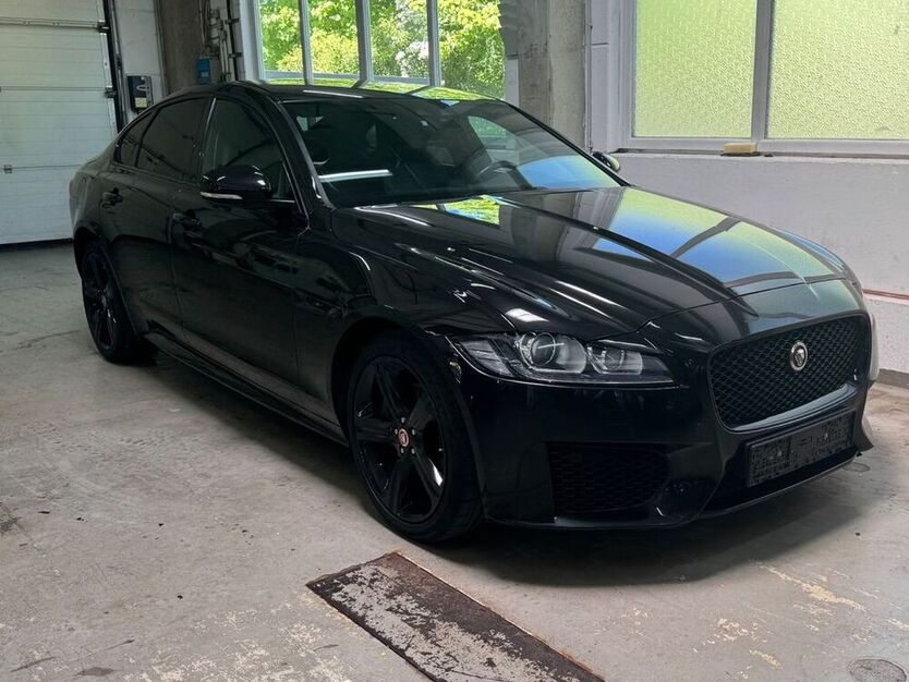 XF