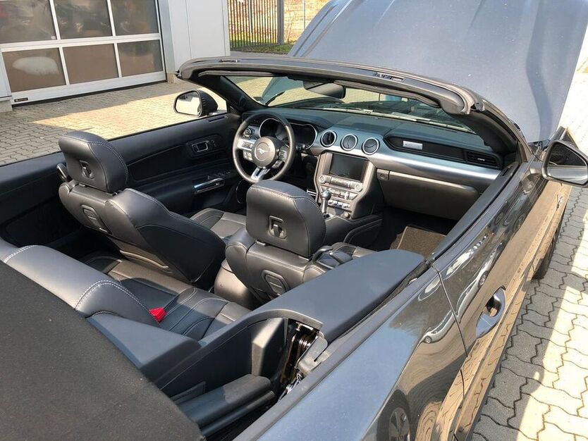 Mustang