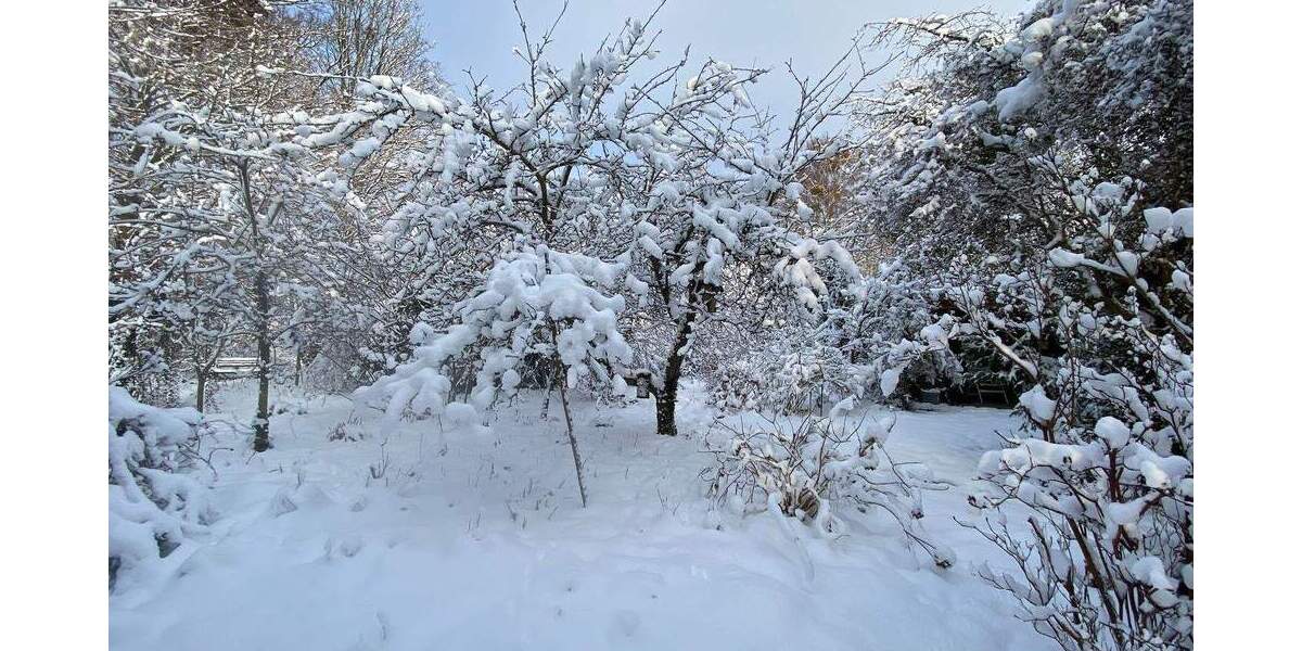 Einfamilienhaus Hamburg Volksdorf - 1.250.000&euro; | Angebot:24052229