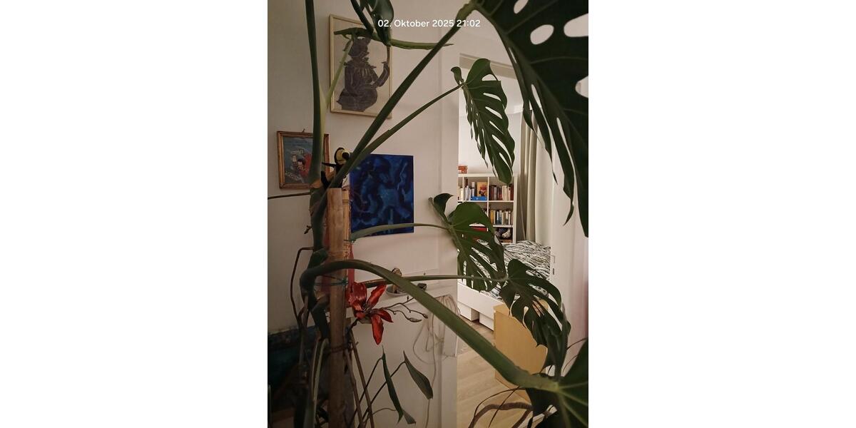 Etagenwohnung Hamburg Altona-Nord - 1.300&euro; | Angebot:26222866