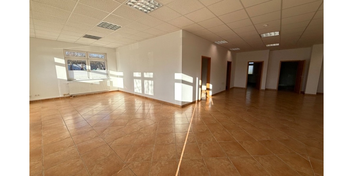 Büro-Showroom-Ladenflächen ab 175,5 m²! Ebenerdig und nahe der A7 - Gewerbeobjekt Seevetal Holtorfsloh | Angebot:24615942