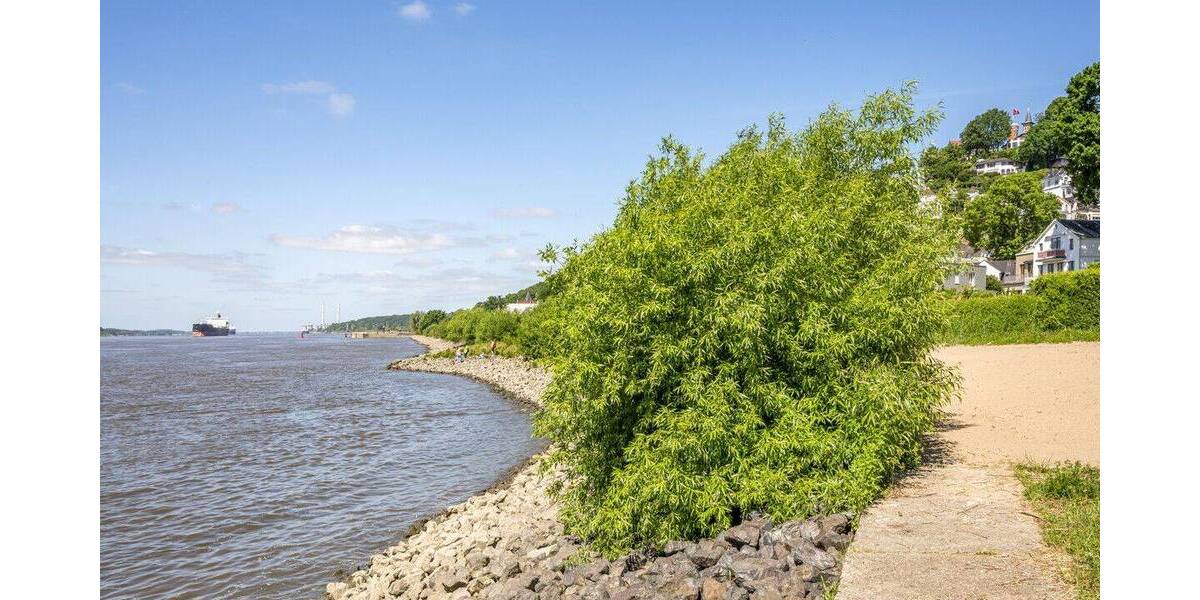 Einfamilienhaus Hamburg Blankenese - 6 Zimmer, 138 m&sup2;, 1.250.000&euro; | Angebot:26908240