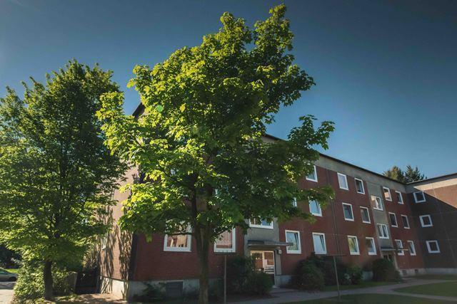 Etagenwohnung Geesthacht - 3 Zimmer, 81 m&sup2;, 790&euro; | Angebot:26171227