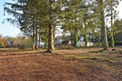 Grundstück zu verkaufen in Aumühle 550.000 € 1187 m²
