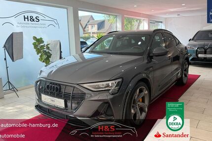 Audi e-tron 122.122 km 37.400 &euro; Pinneberg 25421