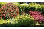 Reihenhaus Hamburg Wandsbek - 3 Zimmer, 70 m&sup2;, 339.000&euro; | Angebot:26808410
