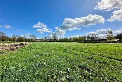 Grundstück Kisdorf - 372.900&euro; | Angebot:26941826