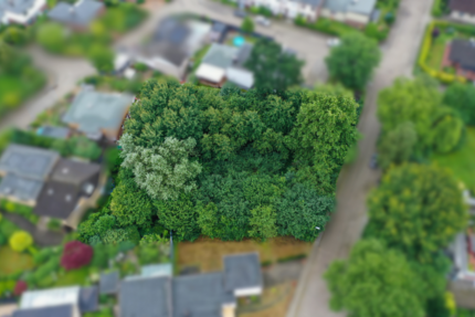 Grundstück zu verkaufen in Buxtehude 729.000 € 1666 m²