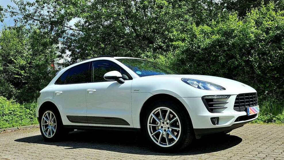 Macan