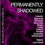 Permanently Shadowed