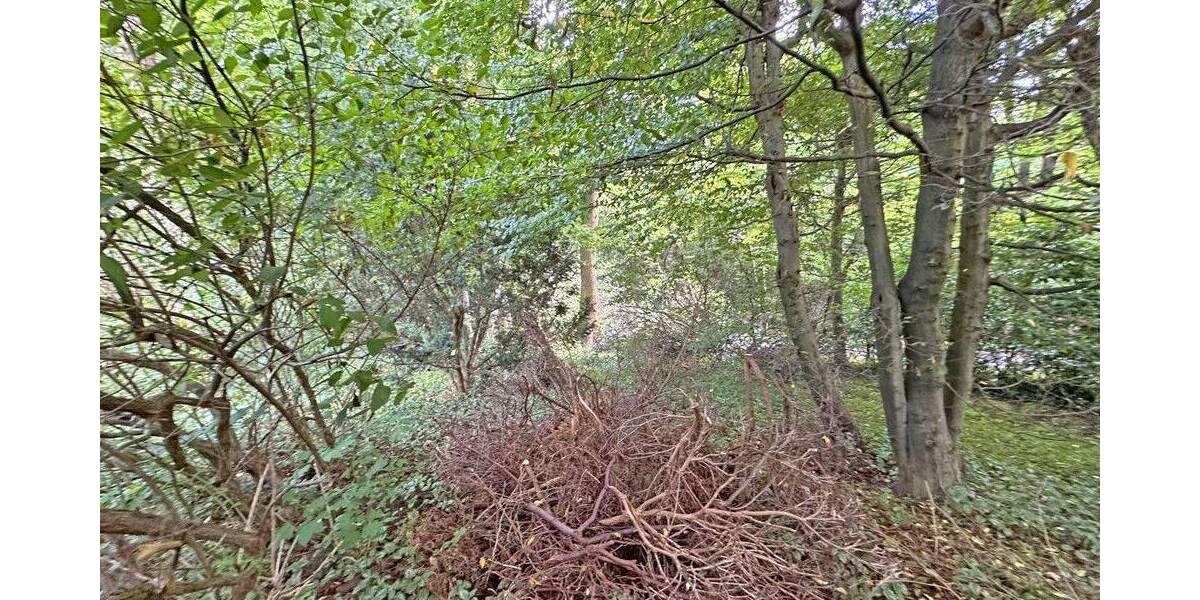 Grundstück Ahrensburg - 525.000&euro; | Angebot:25796405