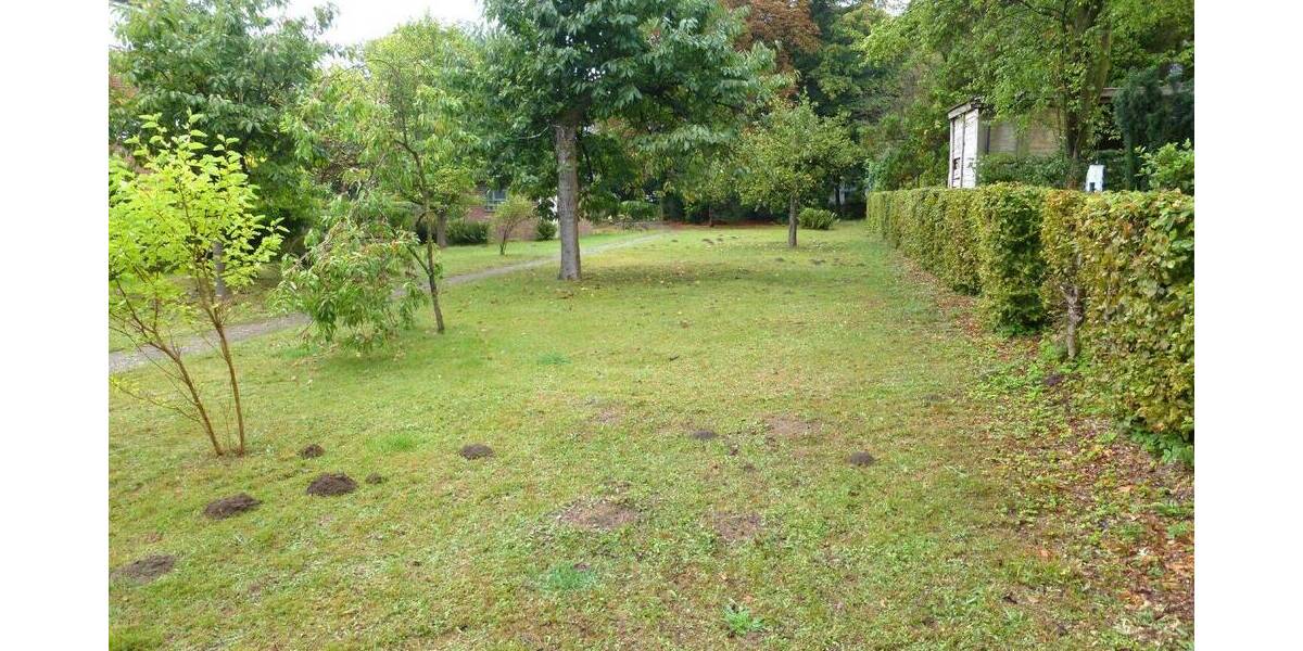 Einfamilienhaus Hamburg Volksdorf - 5 Zimmer, 151 m&sup2;, 1.320.000&euro; | Angebot:25801962