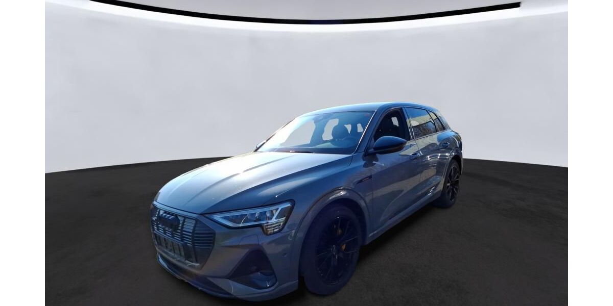 Audi e-tron 44.576 km 38.990 &euro; Hamburg 22047