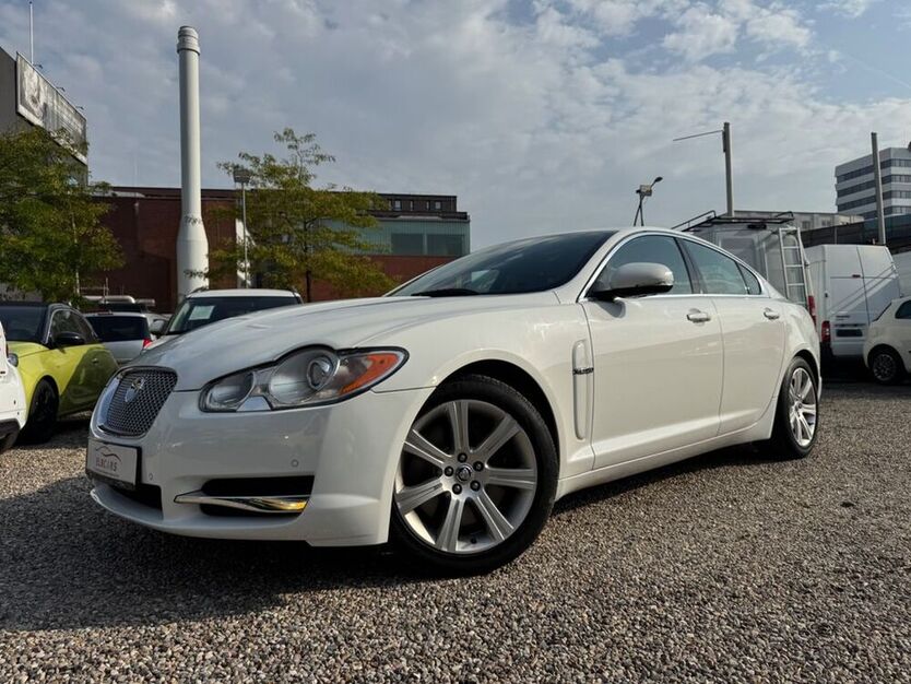 XF