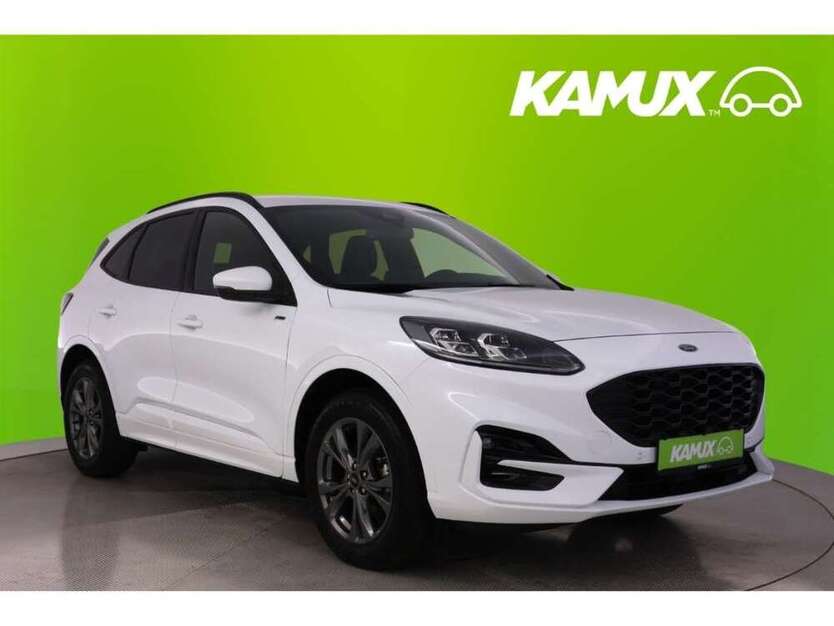 Kuga