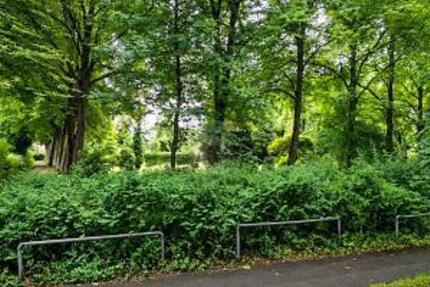 GESTALTEN SIE IHR ZUHAUSE EINFACH SELBST - Grundstück Hamburg Lohbrügge Billbrook | Angebot:27354945