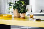 Coworking Arbeitsplätze auf unserem Campus mitten im Grünen - All-in-Miete