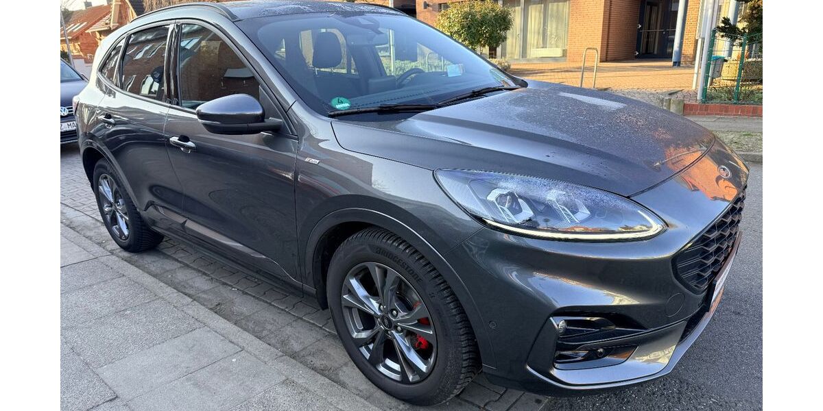 Ford Kuga 66.000 km 21.999 &euro; Geesthacht (bei Hamburg) 21502
