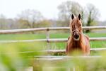 Gewerbeobjekt Alveslohe - 3.500&euro; | Angebot:26396422