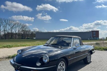 Alfa Romeo Spider 216.843 km 13.999 &euro; Wedel 22880