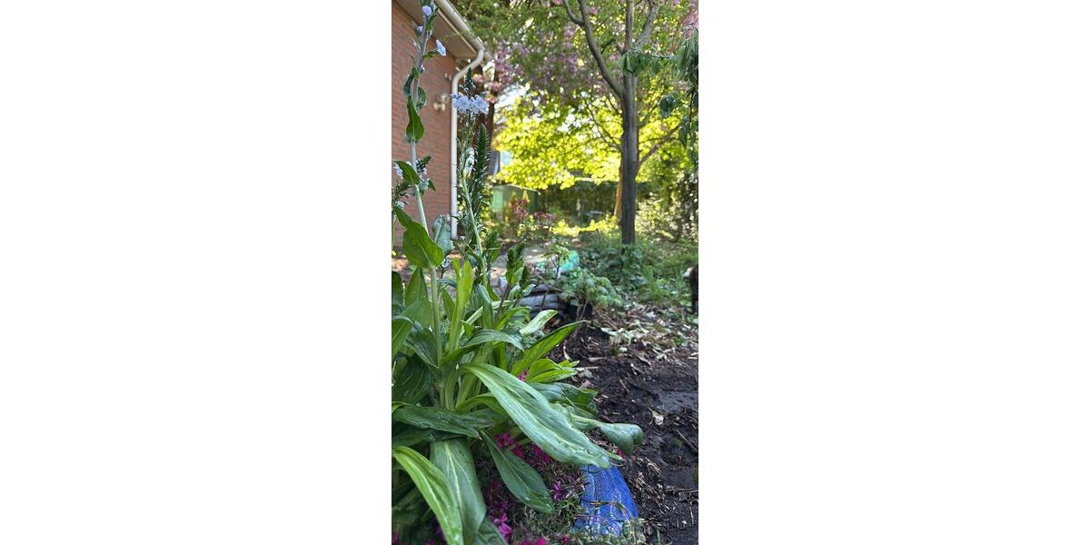 Einfamilienhaus Wedel - 5 Zimmer, 160 m&sup2;, 760.000&euro; | Angebot:27146917