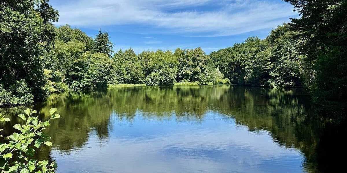 Einfamilienhaus Hamburg Poppenbüttel - 3 Zimmer, 765.900&euro; | Angebot:26379555